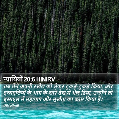 न्यायियों 20:6 HINIRV Bible Verse Image