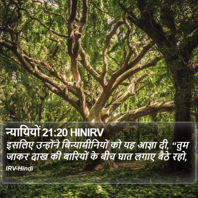 न्यायियों 21:20 HINIRV Bible Verse Image
