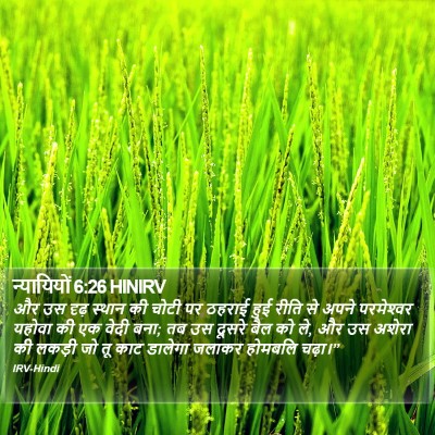 न्यायियों 6:26 HINIRV Bible Verse Image