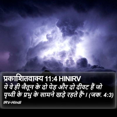 प्रकाशितवाक्य 11:4 HINIRV Bible Verse Image