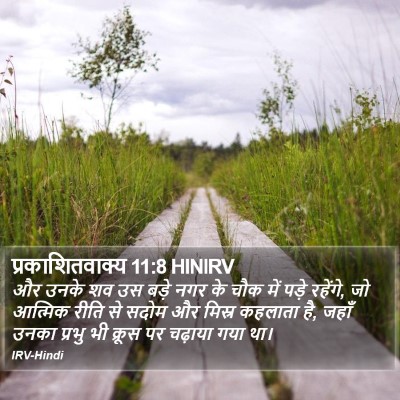 प्रकाशितवाक्य 11:8 HINIRV Bible Verse Image