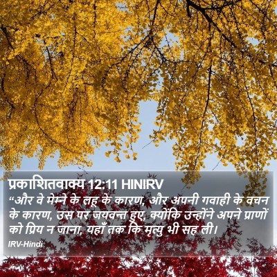 प्रकाशितवाक्य 12:11 HINIRV Bible Verse Image