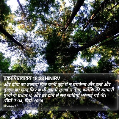 प्रकाशितवाक्य 18:23 HINIRV Bible Verse Image