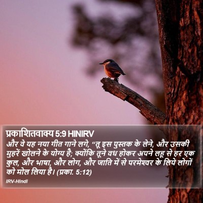 प्रकाशितवाक्य 5:9 HINIRV Bible Verse Image