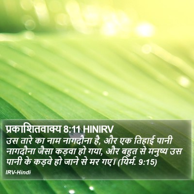 प्रकाशितवाक्य 8:11 HINIRV Bible Verse Image