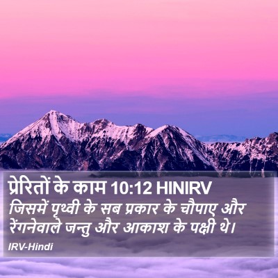 प्रेरितों के काम 10:12 HINIRV Bible Verse Image