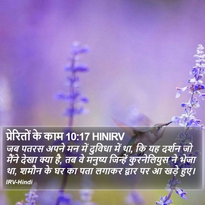 प्रेरितों के काम 10:17 HINIRV Bible Verse Image