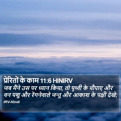 प्रेरितों के काम 11:6 HINIRV Bible Verse Image