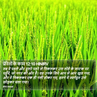 प्रेरितों के काम 12:10 HINIRV Bible Verse Image