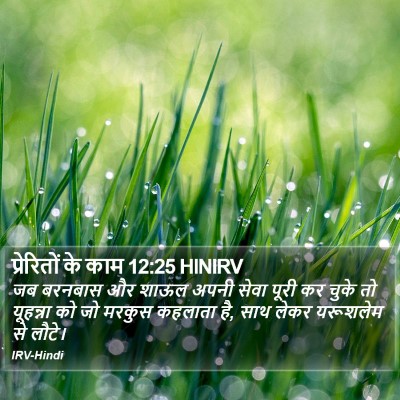 प्रेरितों के काम 12:25 HINIRV Bible Verse Image