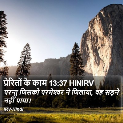 प्रेरितों के काम 13:37 HINIRV Bible Verse Image