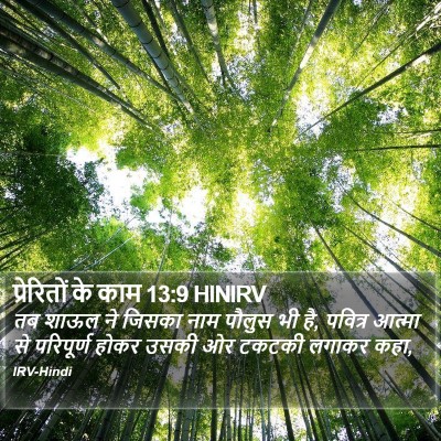 प्रेरितों के काम 13:9 HINIRV Bible Verse Image
