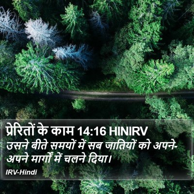 प्रेरितों के काम 14:16 HINIRV Bible Verse Image