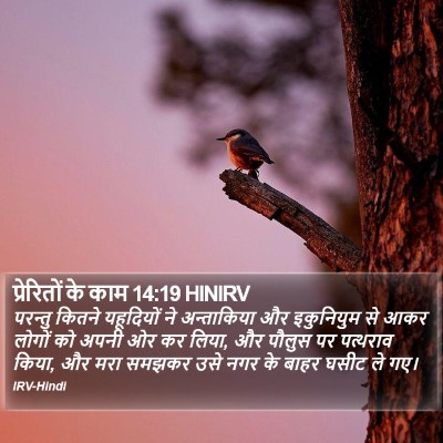प्रेरितों के काम 14:19 HINIRV Bible Verse Image
