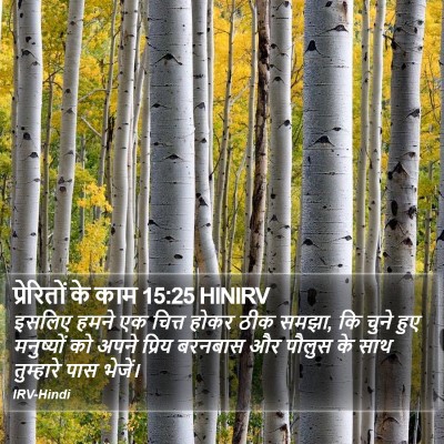 प्रेरितों के काम 15:25 HINIRV Bible Verse Image