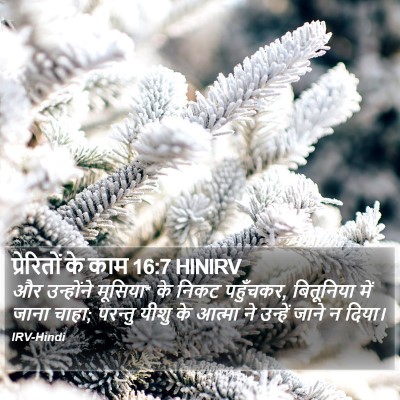 प्रेरितों के काम 16:7 HINIRV Bible Verse Image
