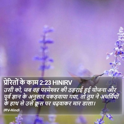 प्रेरितों के काम 2:23 HINIRV Bible Verse Image
