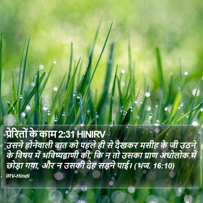 प्रेरितों के काम 2:31 HINIRV Bible Verse Image