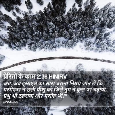 प्रेरितों के काम 2:36 HINIRV Bible Verse Image