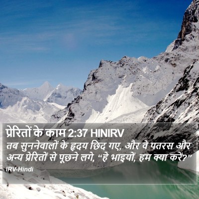 प्रेरितों के काम 2:37 HINIRV Bible Verse Image