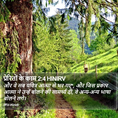 प्रेरितों के काम 2:4 HINIRV Bible Verse Image
