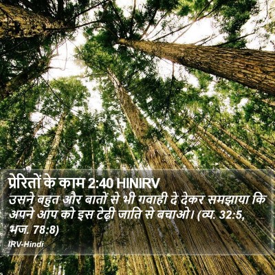 प्रेरितों के काम 2:40 HINIRV Bible Verse Image