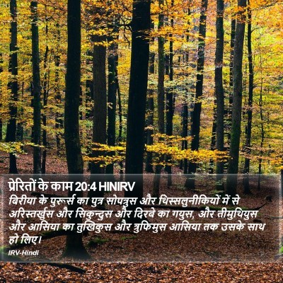 प्रेरितों के काम 20:4 HINIRV Bible Verse Image