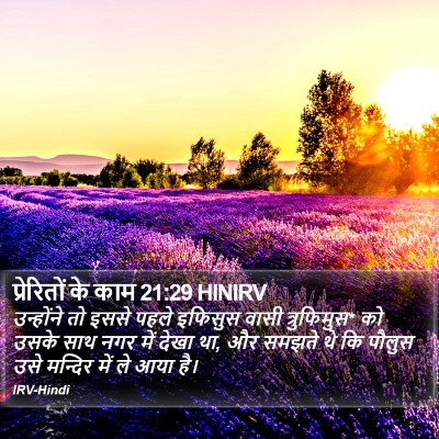 प्रेरितों के काम 21:29 HINIRV Bible Verse Image