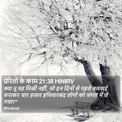 प्रेरितों के काम 21:38 HINIRV Bible Verse Image
