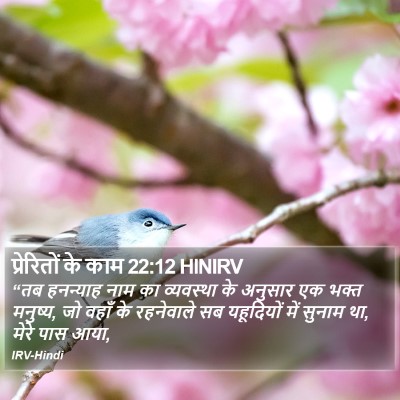 प्रेरितों के काम 22:12 HINIRV Bible Verse Image