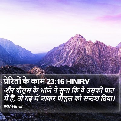 प्रेरितों के काम 23:16 HINIRV Bible Verse Image