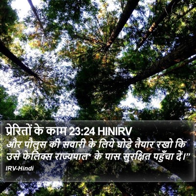 प्रेरितों के काम 23:24 HINIRV Bible Verse Image