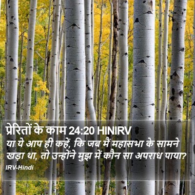 प्रेरितों के काम 24:20 HINIRV Bible Verse Image