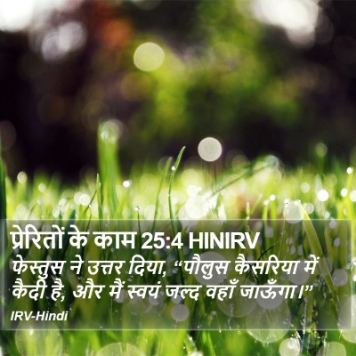 प्रेरितों के काम 25:4 HINIRV Bible Verse Image
