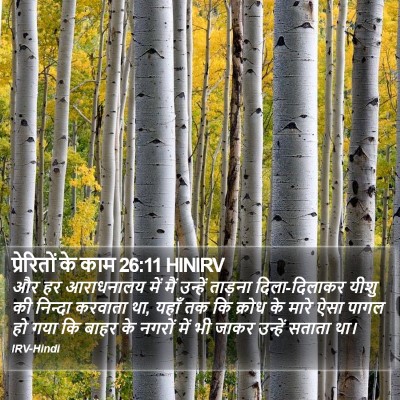 प्रेरितों के काम 26:11 HINIRV Bible Verse Image