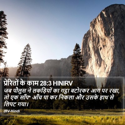 प्रेरितों के काम 28:3 HINIRV Bible Verse Image