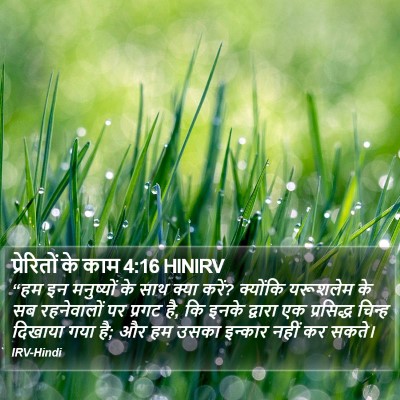 प्रेरितों के काम 4:16 HINIRV Bible Verse Image