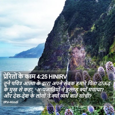 प्रेरितों के काम 4:25 HINIRV Bible Verse Image