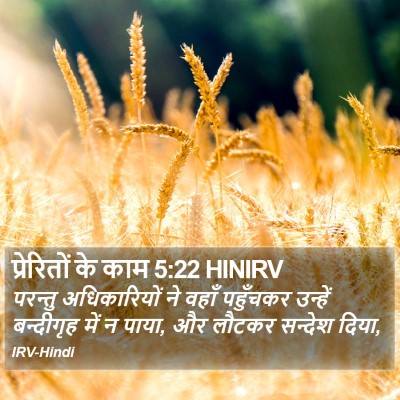 प्रेरितों के काम 5:22 HINIRV Bible Verse Image
