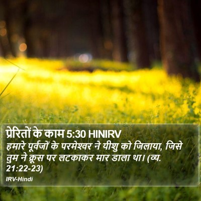 प्रेरितों के काम 5:30 HINIRV Bible Verse Image