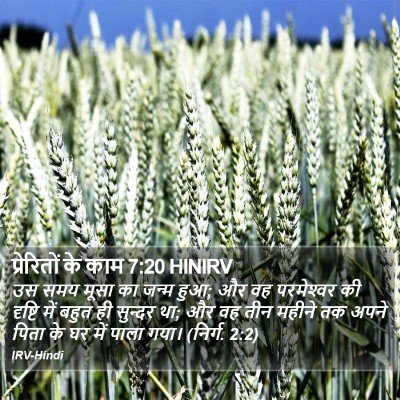प्रेरितों के काम 7:20 HINIRV Bible Verse Image