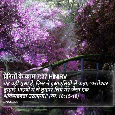 प्रेरितों के काम 7:37 HINIRV Bible Verse Image
