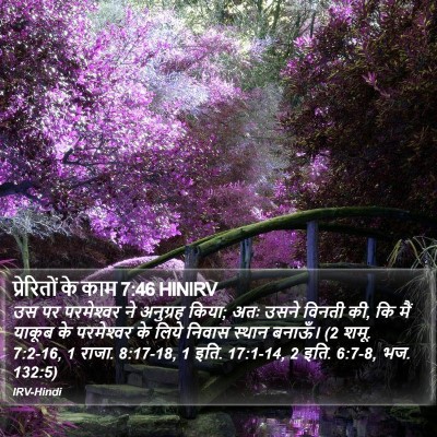 प्रेरितों के काम 7:46 HINIRV Bible Verse Image