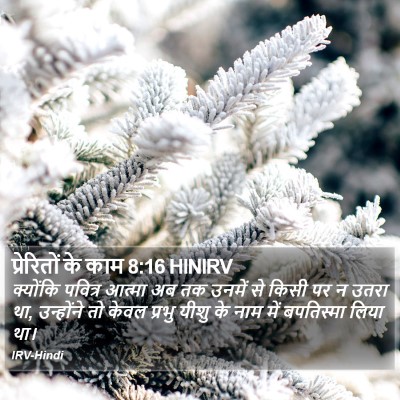 प्रेरितों के काम 8:16 HINIRV Bible Verse Image