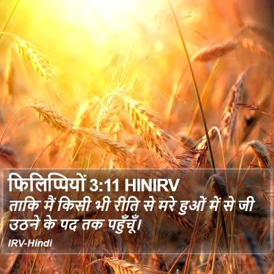 फिलिप्पियों 3:11 HINIRV Bible Verse Image
