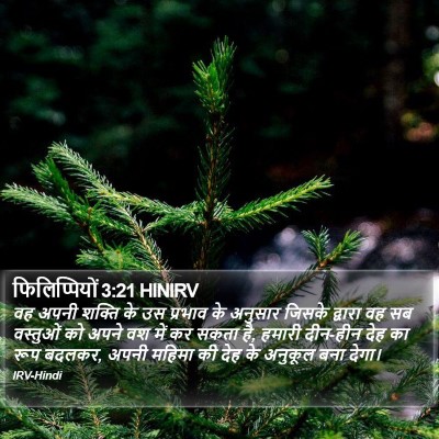 फिलिप्पियों 3:21 HINIRV Bible Verse Image