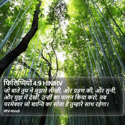 फिलिप्पियों 4:9 HINIRV Bible Verse Image