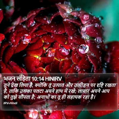 भजन संहिता 10:14 HINIRV Bible Verse Image
