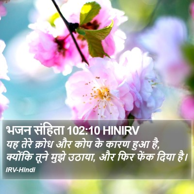 भजन संहिता 102:10 HINIRV Bible Verse Image