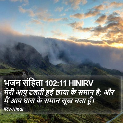 भजन संहिता 102:11 HINIRV Bible Verse Image
